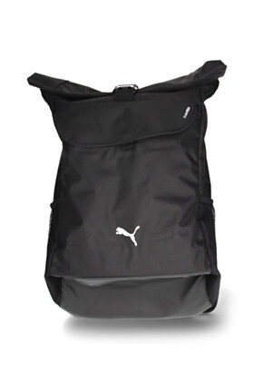 Puma Reput