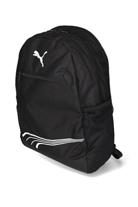 Puma Reput